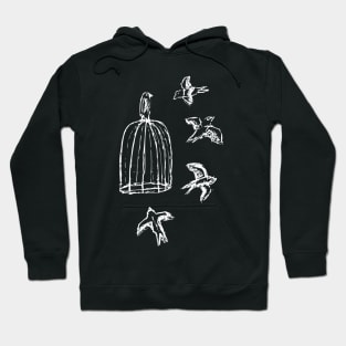 Birds flying around a cage Hoodie